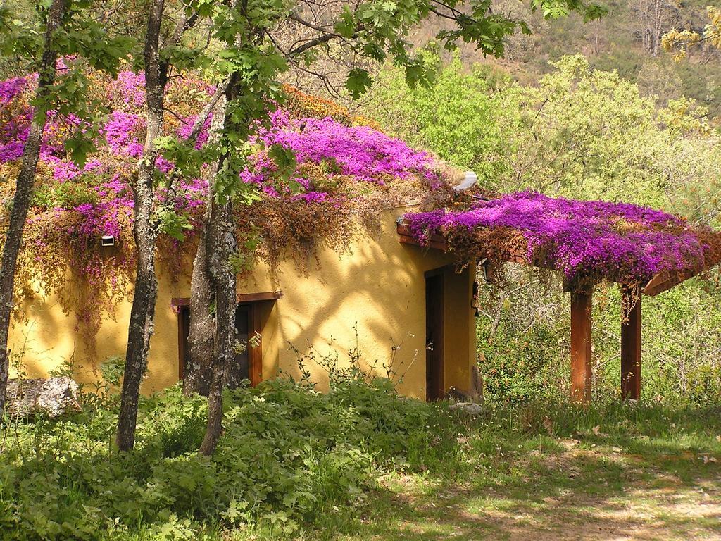Apartamentos Rurales Ecopangea Valverde de la Vera Стая снимка