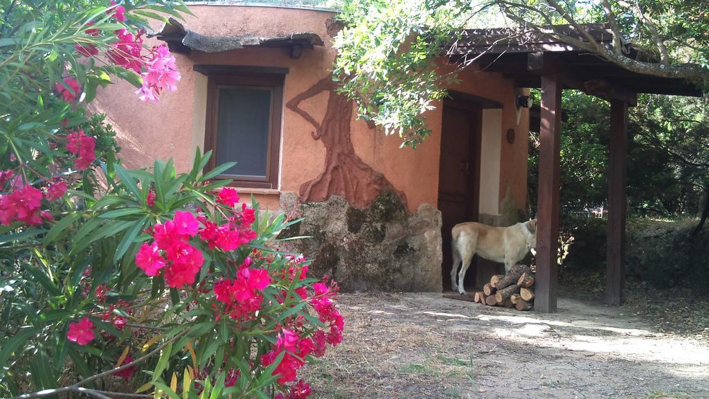 Apartamentos Rurales Ecopangea Valverde de la Vera Екстериор снимка
