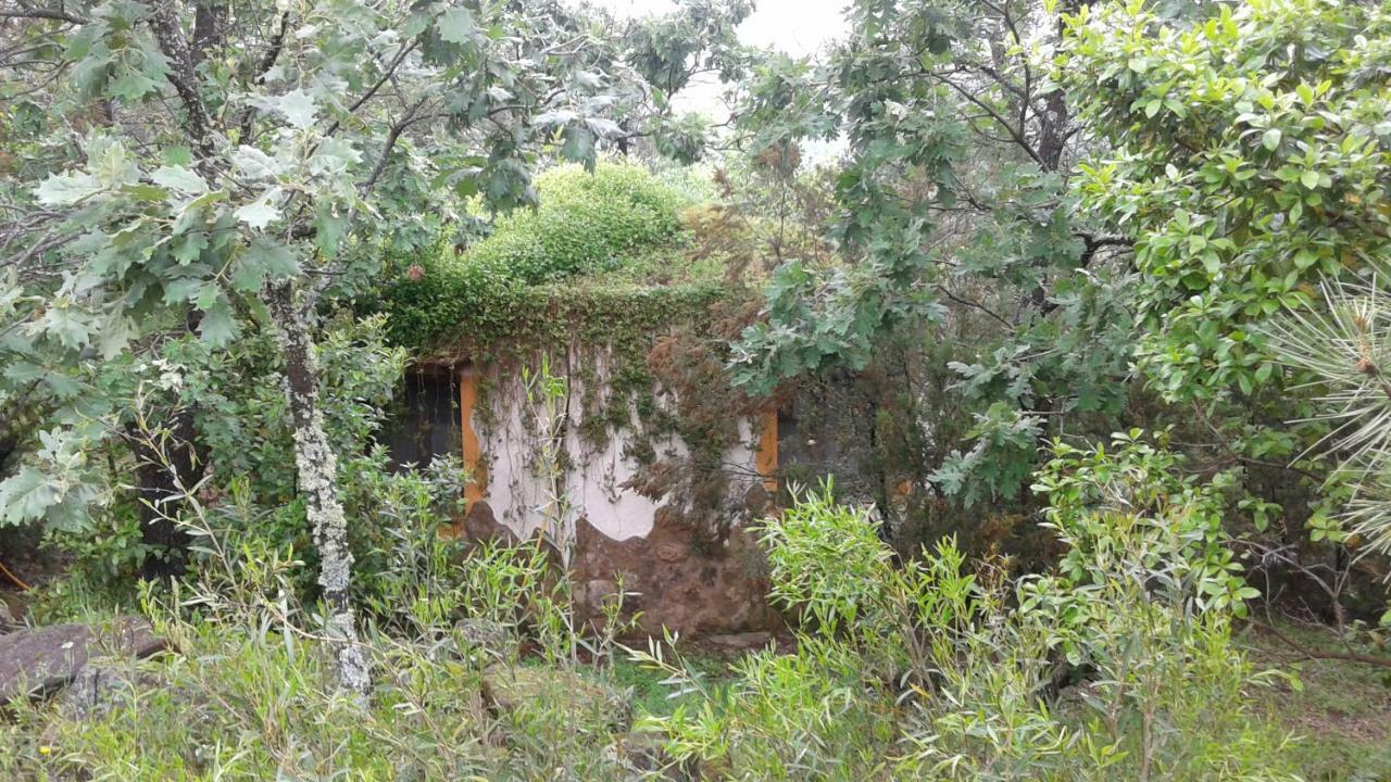Apartamentos Rurales Ecopangea Valverde de la Vera Екстериор снимка