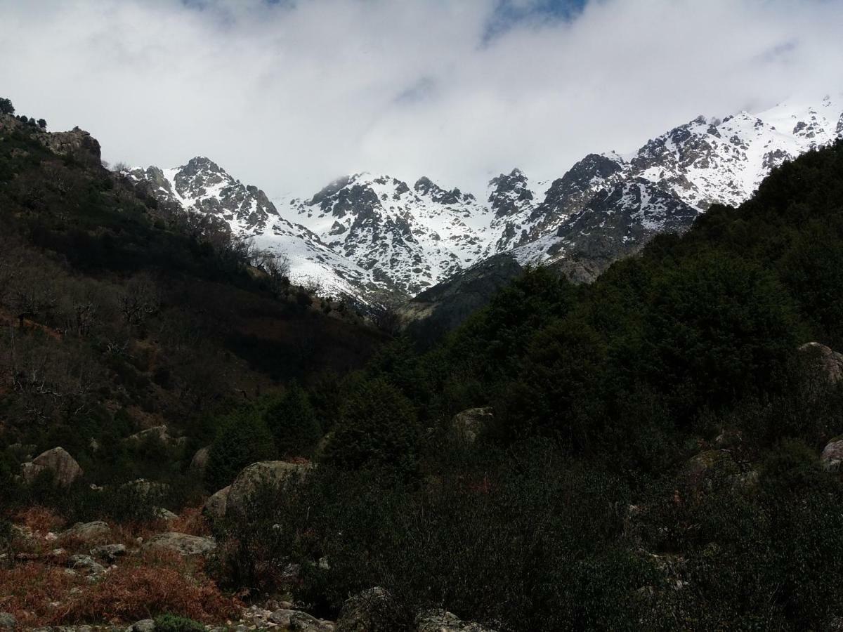 Apartamentos Rurales Ecopangea Valverde de la Vera Екстериор снимка