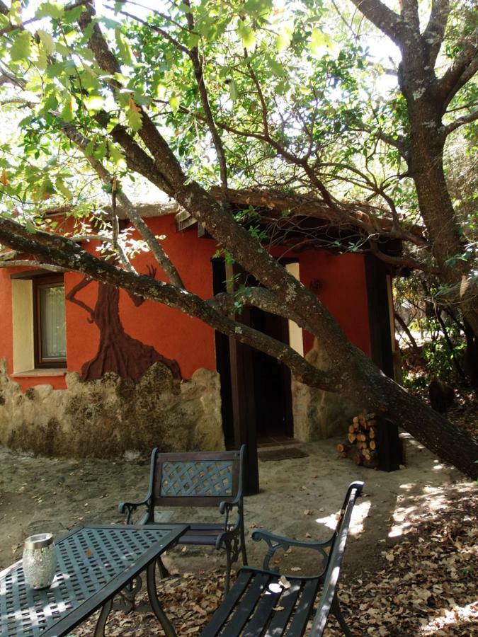 Apartamentos Rurales Ecopangea Valverde de la Vera Екстериор снимка